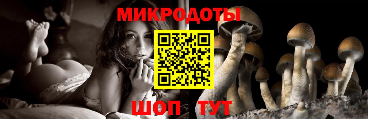 Псилоцибиновые грибы Psilocybine cubensis Краснознаменск